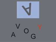 Aufgabenbild Modul Lesesinnverst&auml;ndnis: Visuokonstruktion Buchstaben