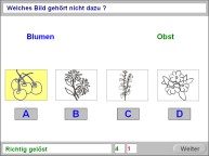 Aufgabenbild logisches Denken: Gemeinsamkeiten Bilder