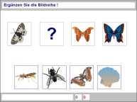 Aufgabenbild logisches Denken: Bilder zuordnen
