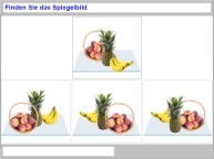 Aufgabenbild R&auml;umlich kognitive Leistungen Perspektivwechsel