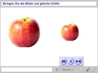 Aufgabenbild r&auml;umlich perzeptive Leistungen: Gr&ouml;&szlig;en
