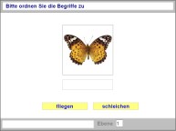Aufgabenbild Objektwahrnehmung C(1)
